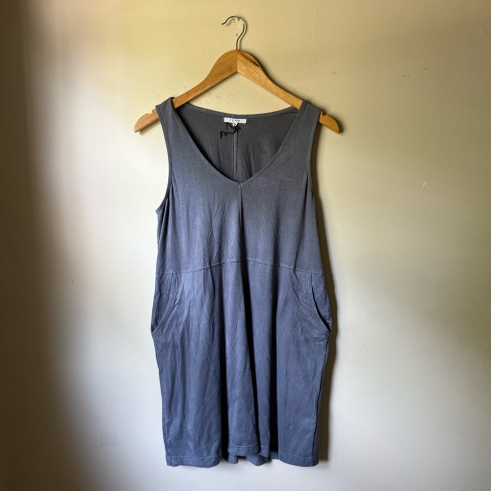Z Supply Velour Dress with Pockets